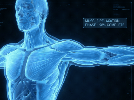Muscle Relaxation