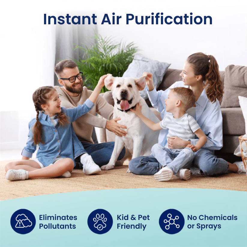 Air Purifier